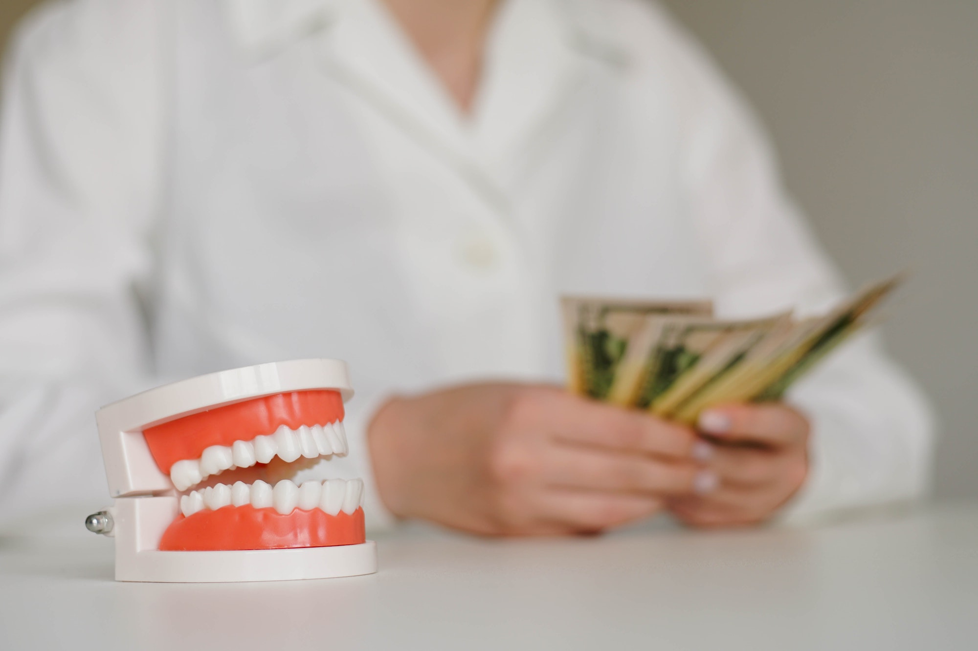 Dental artificial jaw. Woman dentist counting money on the background. Expensive dental care concept